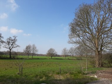 Ausblick