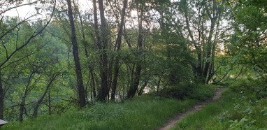 Weg zum Fluss