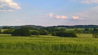 Aussicht vom Stellplatz